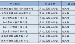 泰安企业爆料最新消息,揭秘行业动态与重大突破！